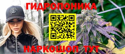 гашик Бузулук